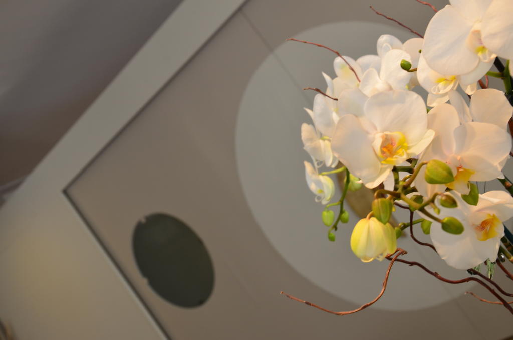 Hotel Mirage Milano Marittima Zewnętrze zdjęcie